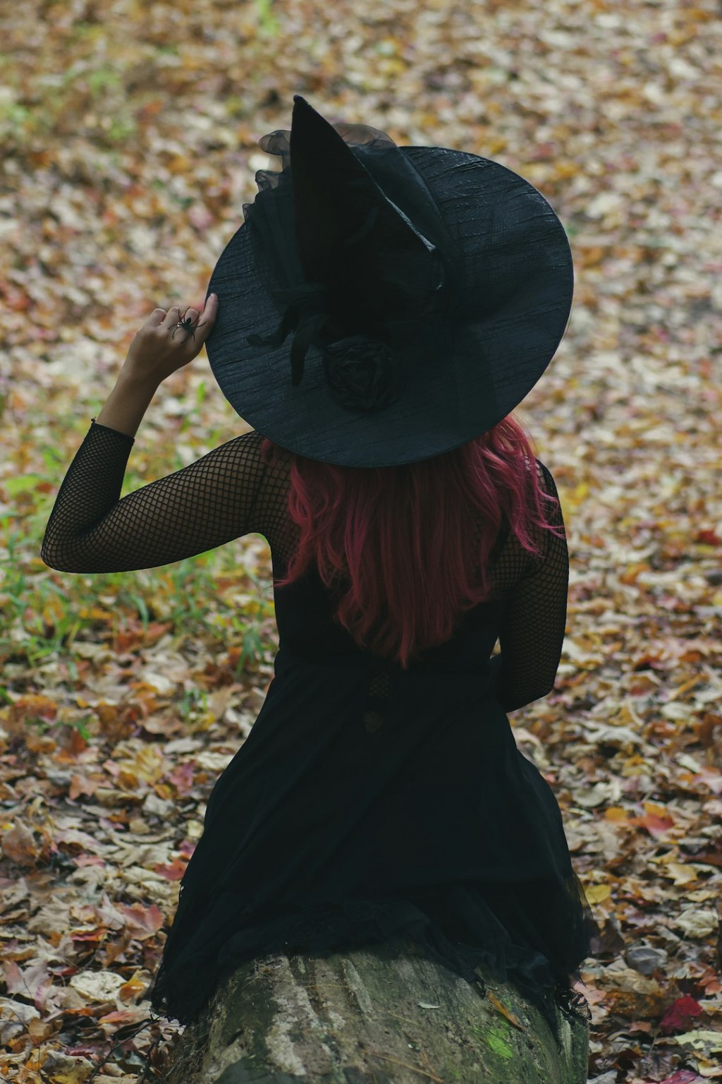 Chasing Elphaba