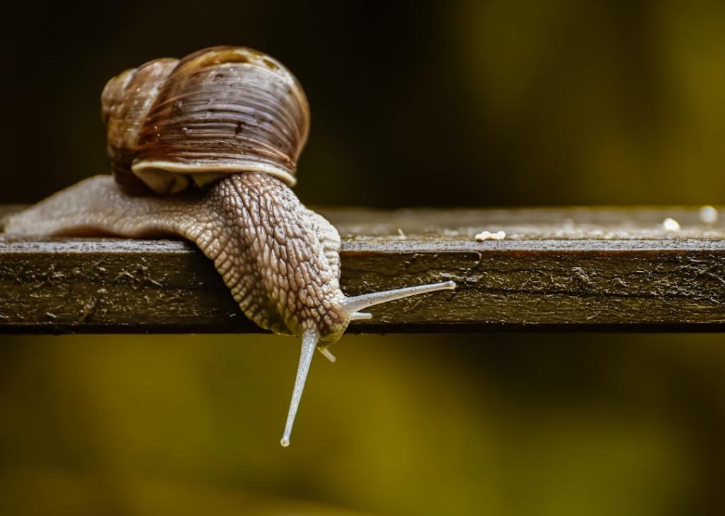 The Need to Slow Down